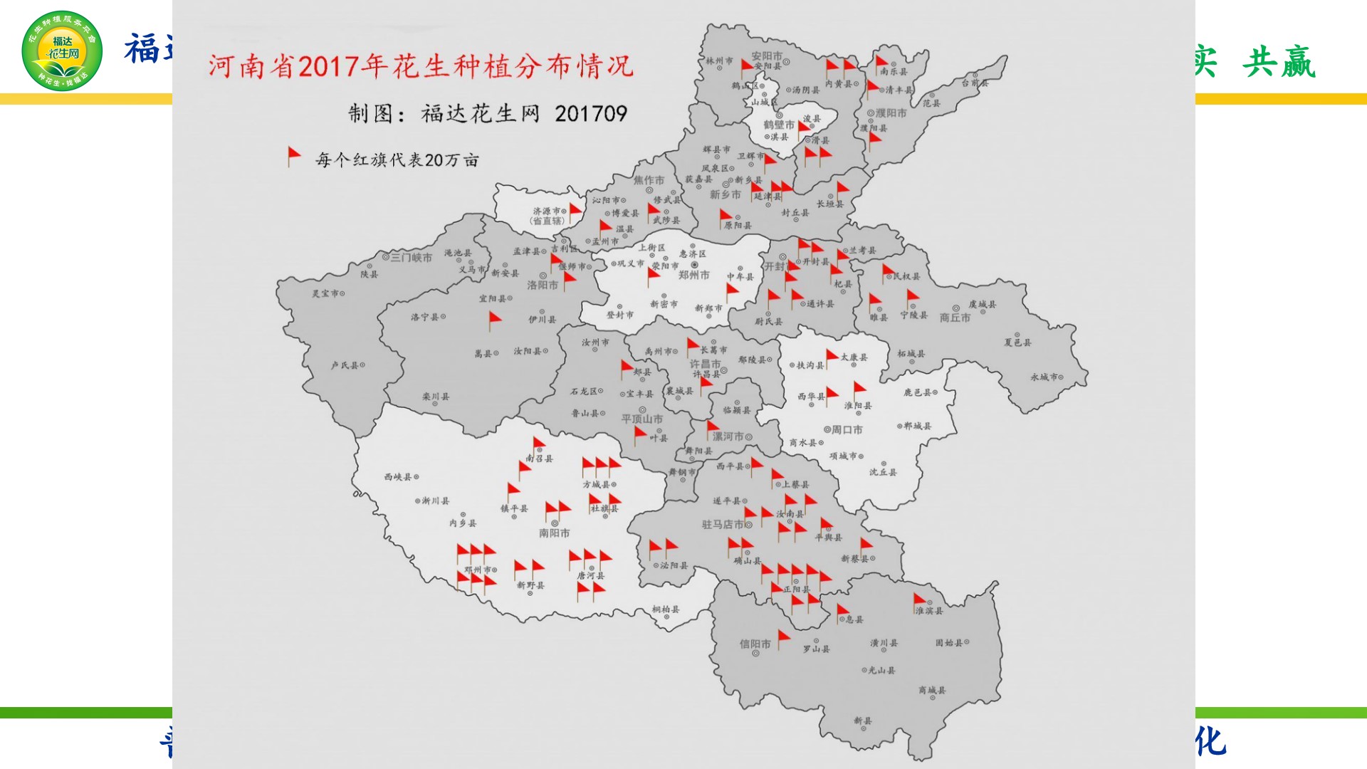 花生分布地区图片