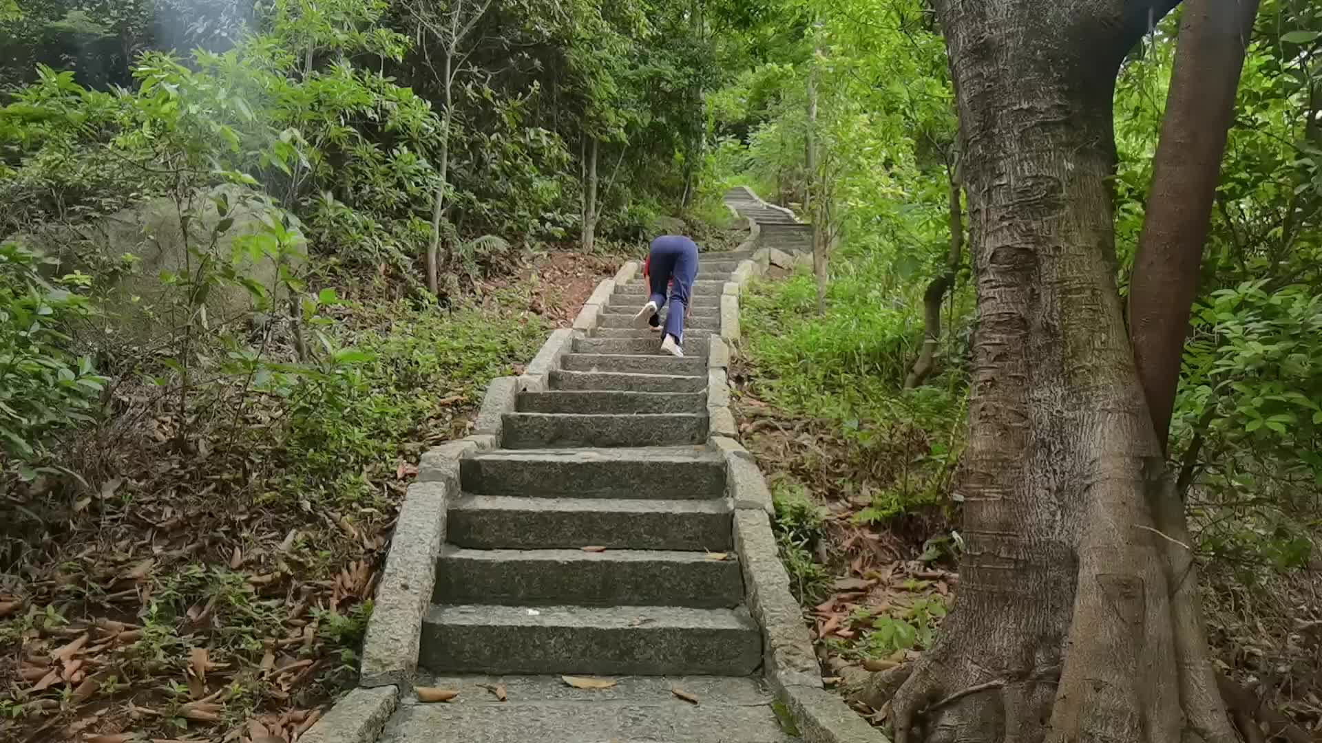 膝盖是个消耗品,年纪越大越难养!