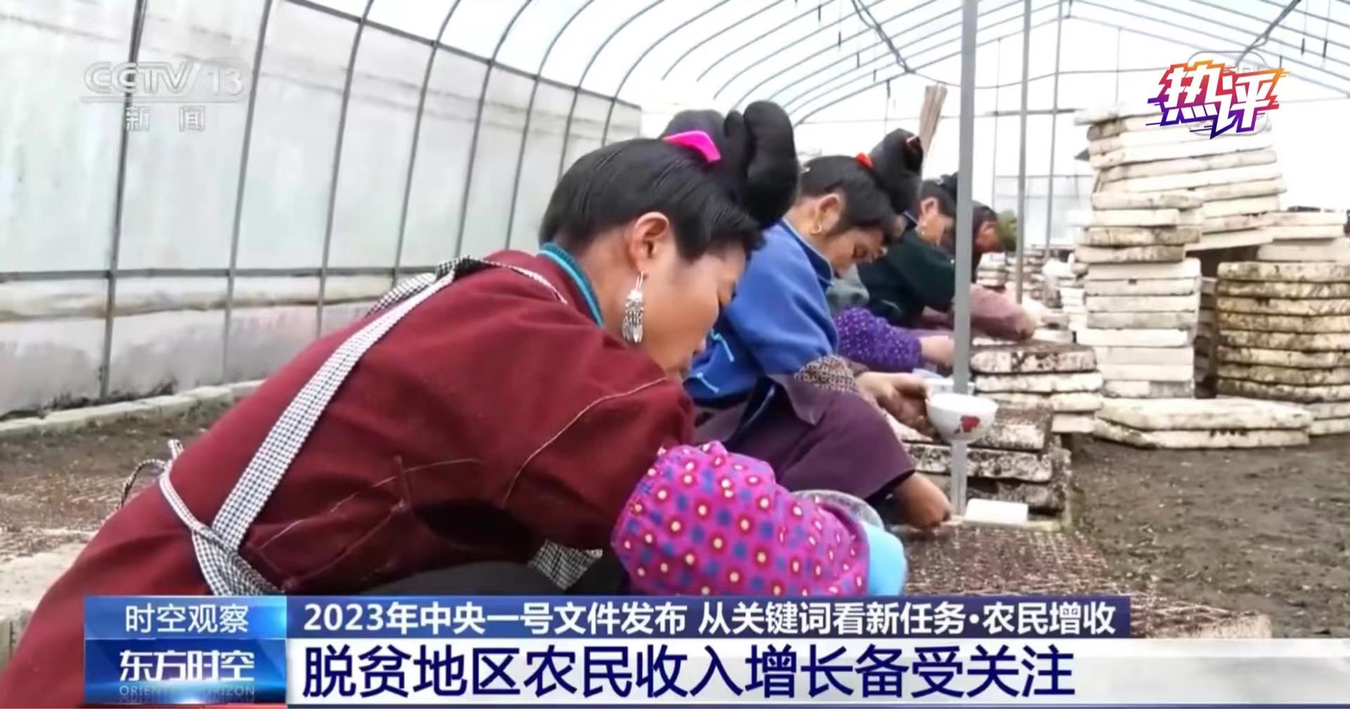 “一号文件”强调这五“强”