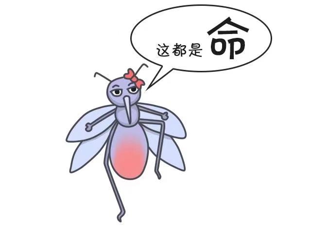嗡嗡嗡,痒痒痒,一篇文章让你看懂蚊子真相,从此远离困扰!