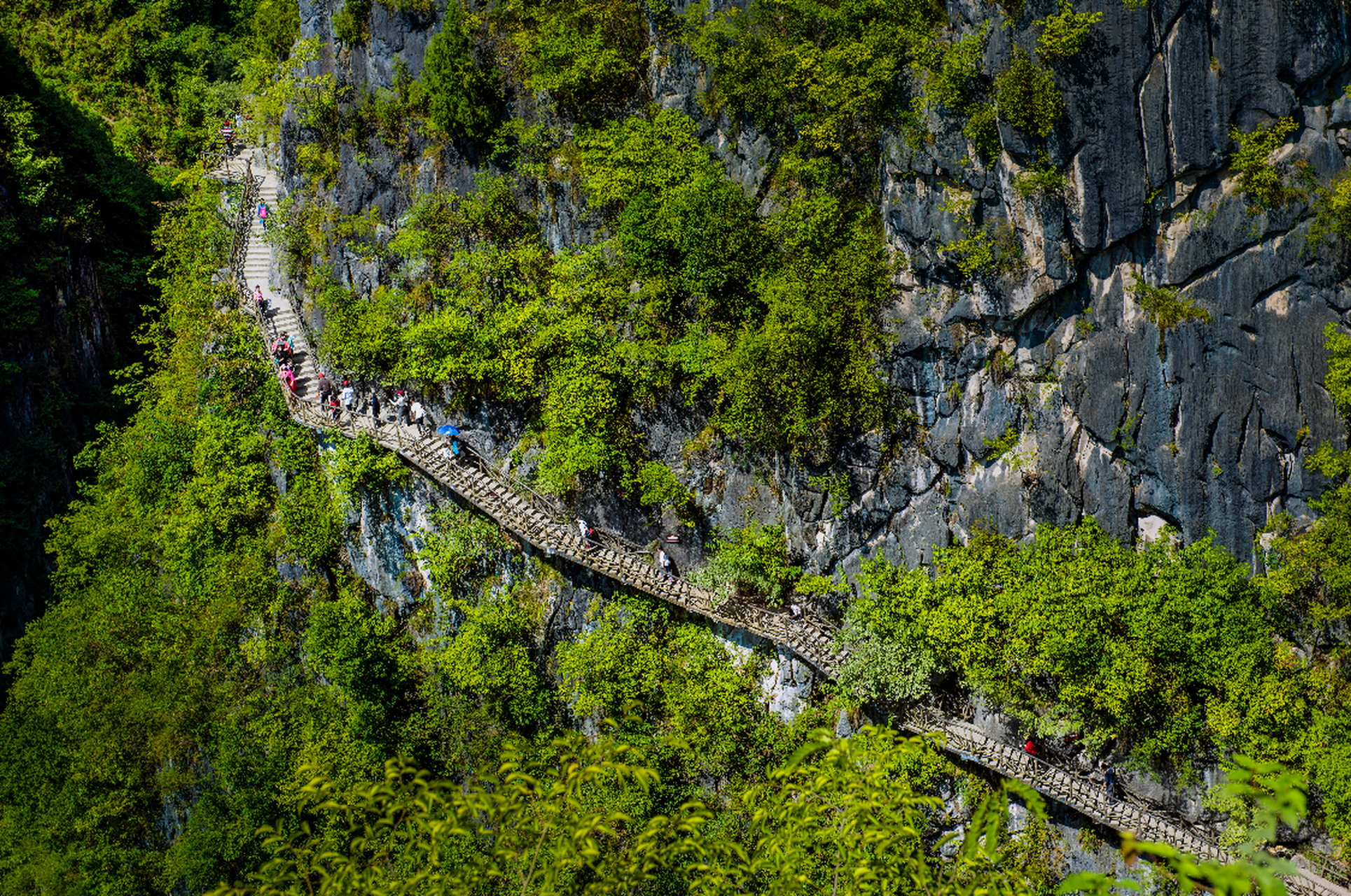 黔江城市大峡谷位于黔江三大城市组团的核心地带,横跨7个地质年代,长