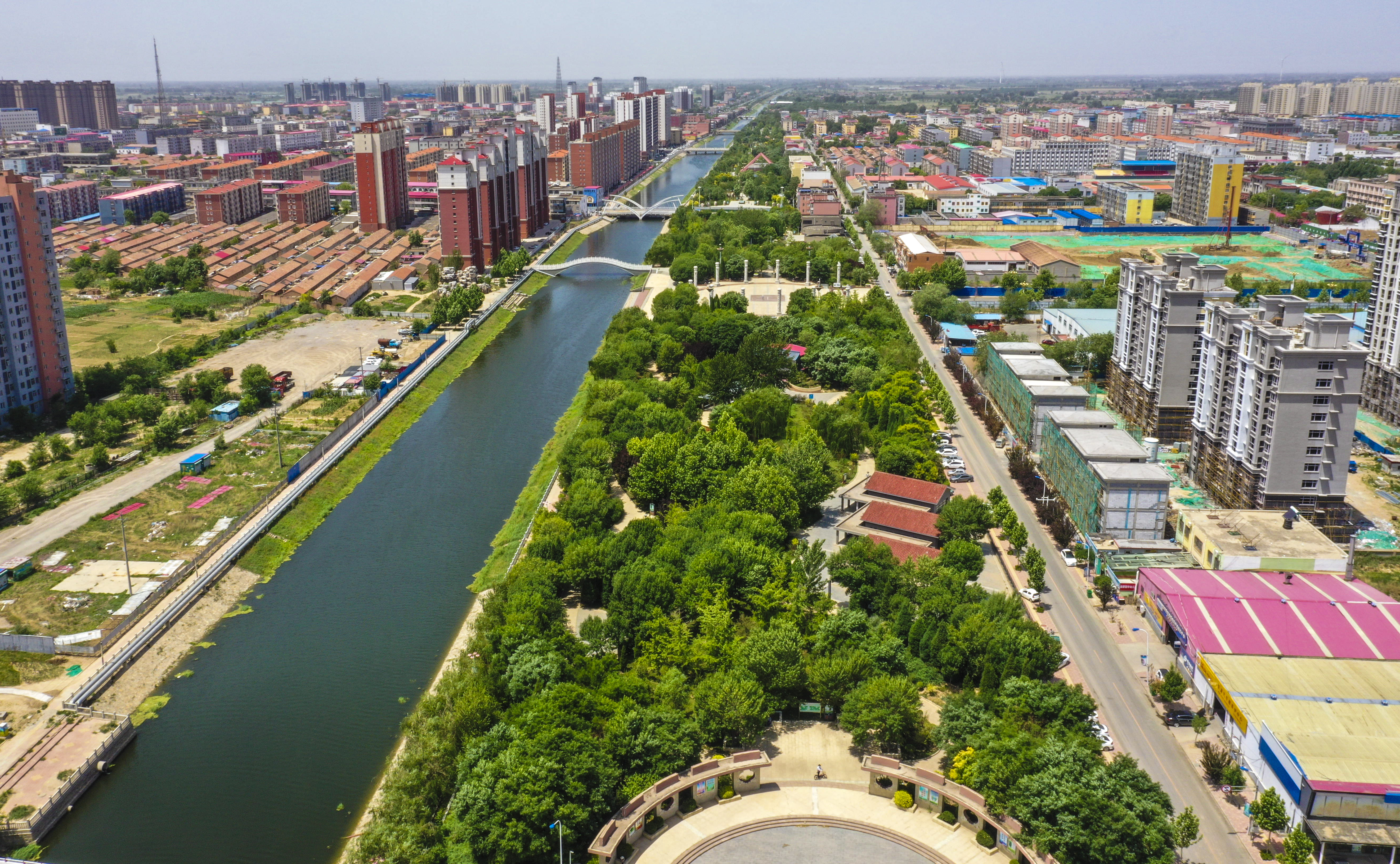 河北大城:绿树成荫翠满城(2)