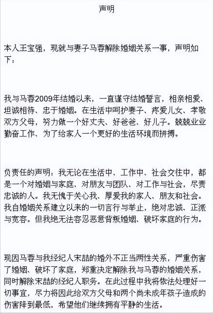 6年後再看王寶強的離婚大戰,才發現宋喆的前妻楊慧,是最大贏家