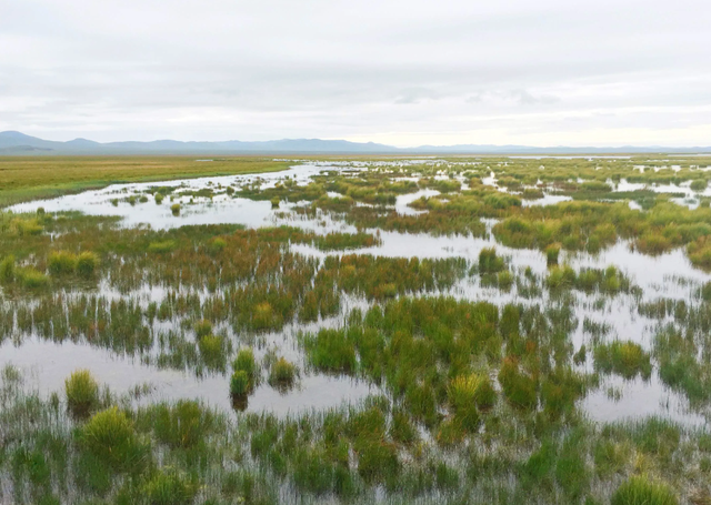 长征已过去80多年,当年留下红军足迹的草地和沼泽,现在怎么样了