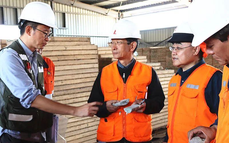 毛景文院士建议尽早实现中融新大邦沟铁矿规模开发