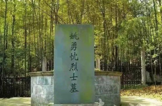 湖州味道|辛亥革命与湖州④:辛亥革命烈士姚勇忱传略
