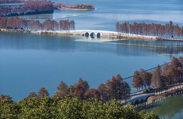 东湖风景图片大全图片