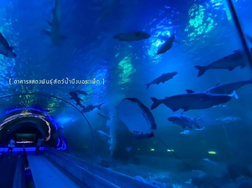 探访泰国小众目的地- 北榄坡府 nakhon sawan