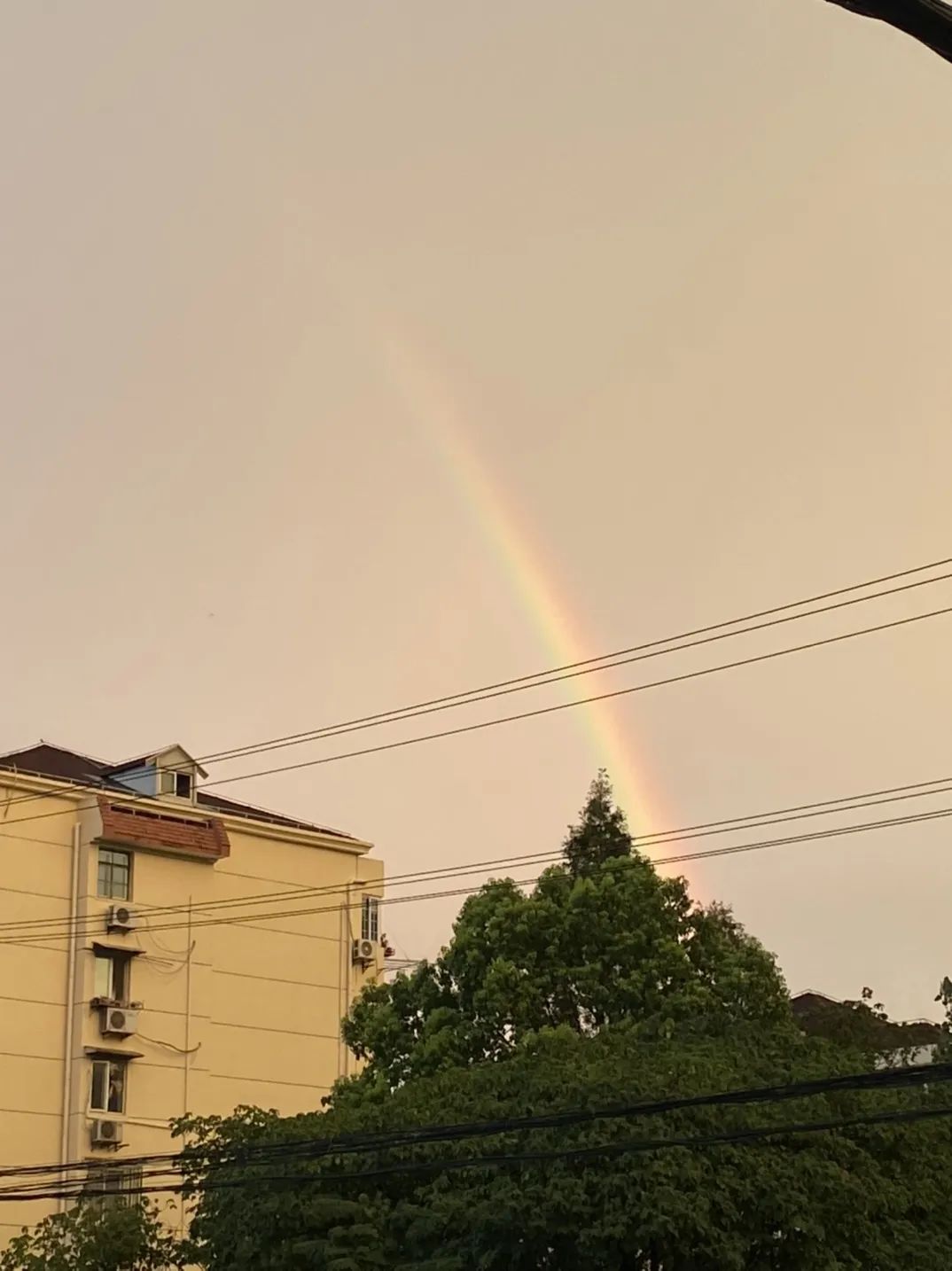 图集 雷雨过后又见彩虹 绚烂美景你拍到了吗?