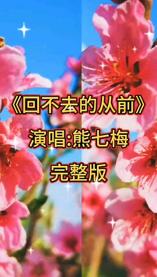 歌曲《回不去的从前》