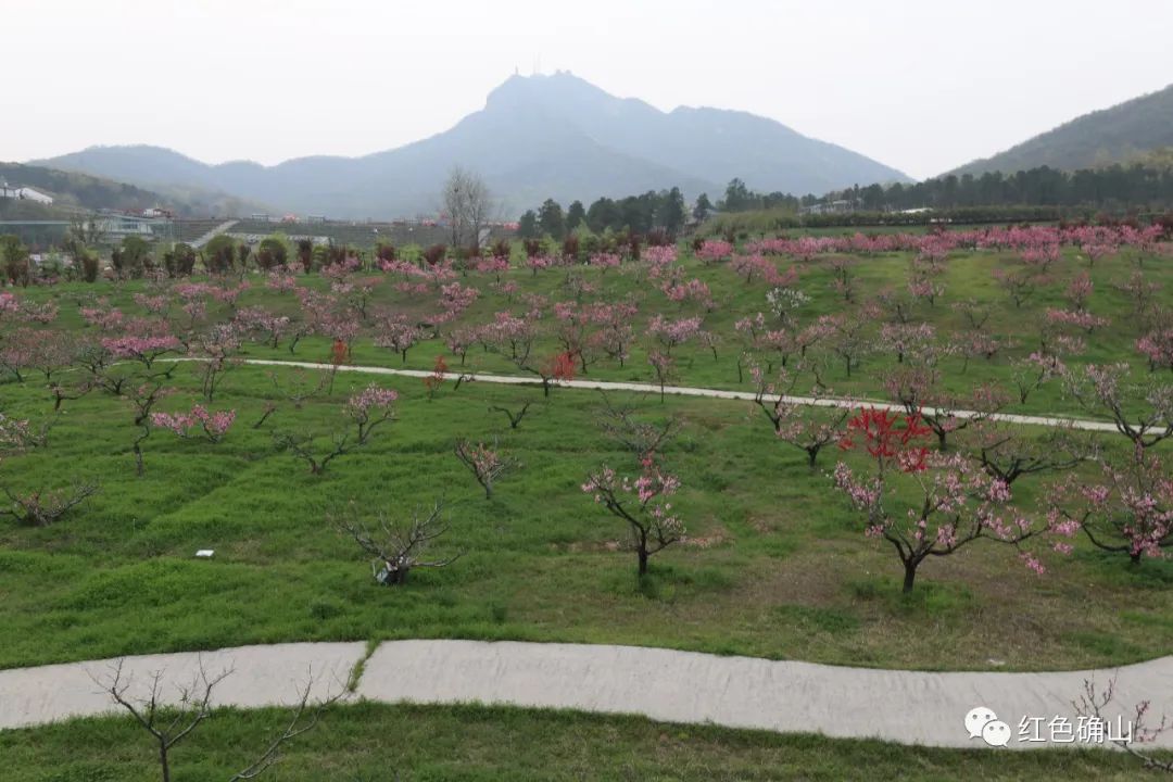 确山县瓦岗镇:初心使命解民忧 "瓦岗三宝"美名扬