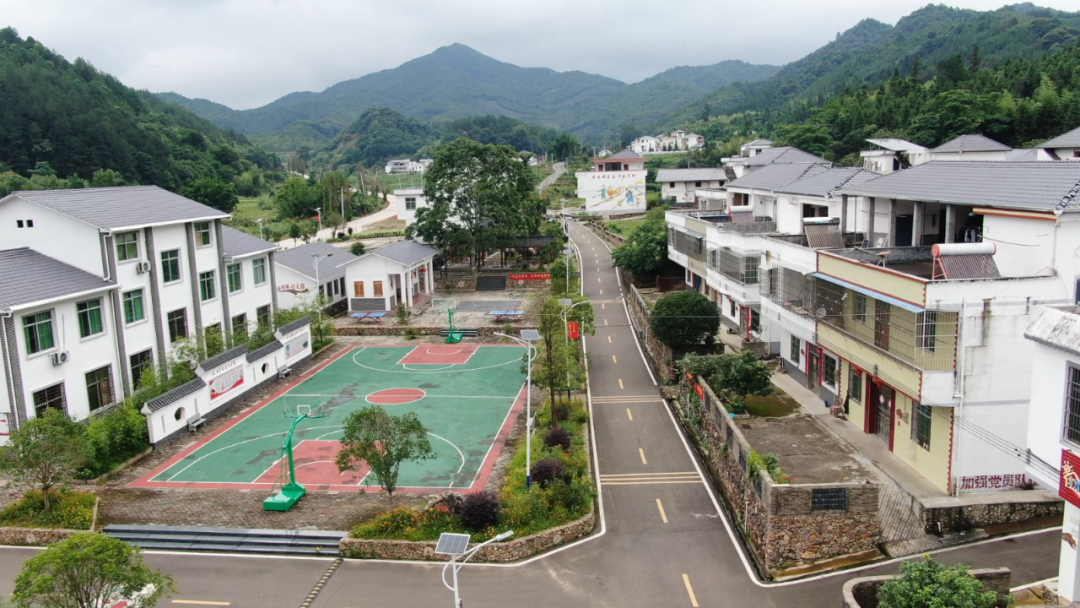 安远本土大制作《油菜花开》在双芫,镇岗,县城公映