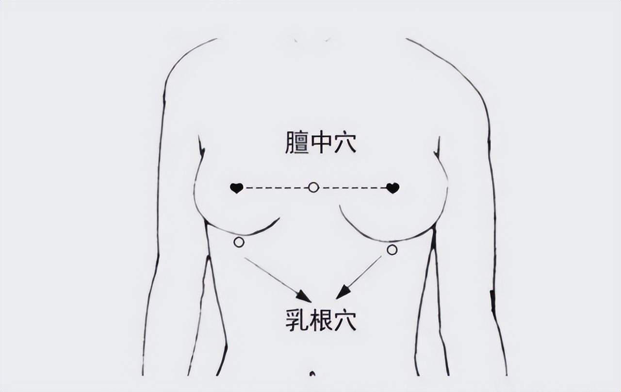 八大乳腺经络图图片