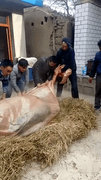 头一次干工程挖断这玩意,听说挺严重的?网友:不严重,最多死缓