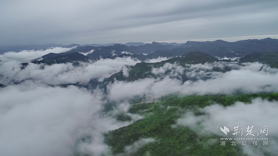 「宜昌真秀美」兴山高山云海如梦如幻