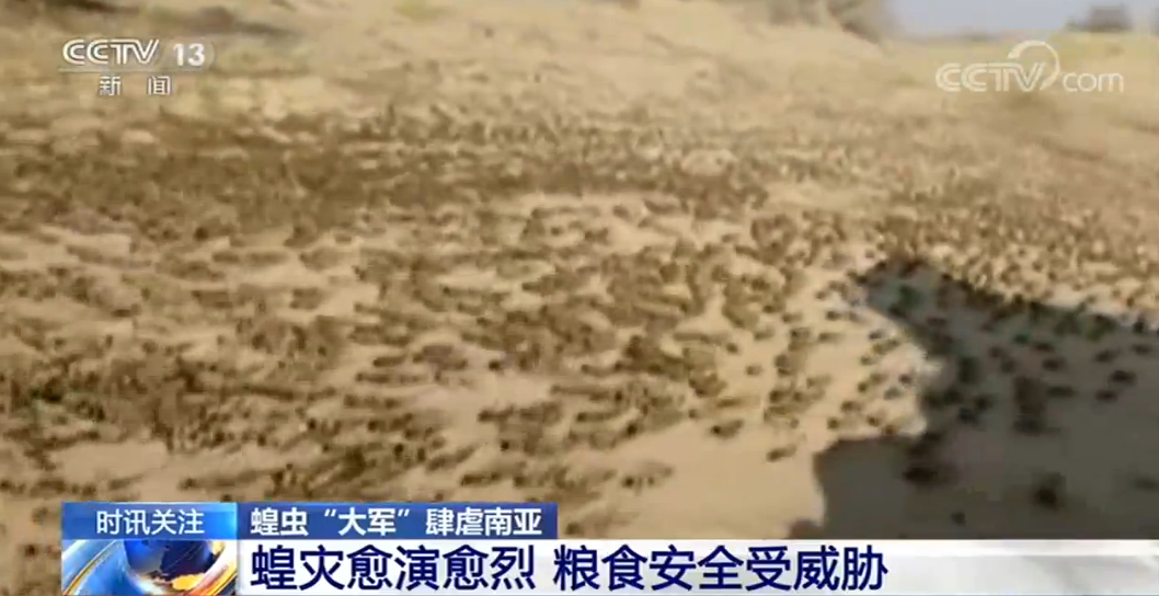 张文宏在印度！张文宏最怕的事情还是发生了......