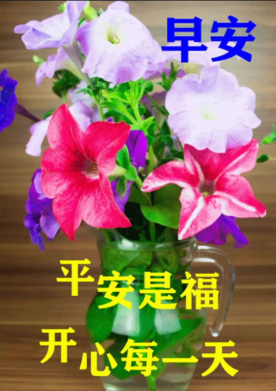 夏天最新特漂亮早上好鲜花动画图片带祝福语 2023最美夏日早安问候
