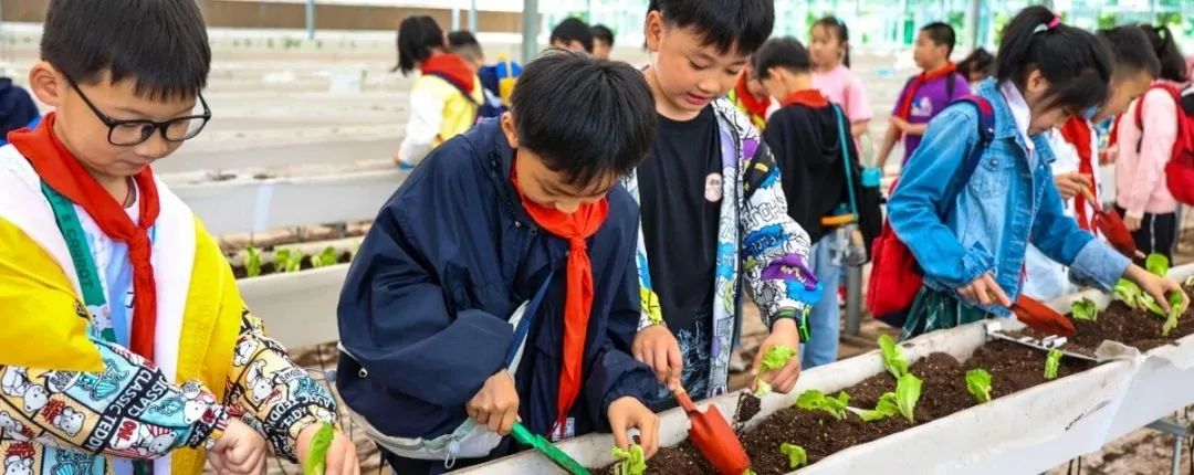 江苏省南通市海门区育才小学低年级开展金盛农庄研学活动