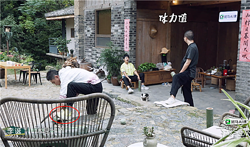 于谦的"李宁鞋"最近火了,得知价格后,网友:攒钱买同款!