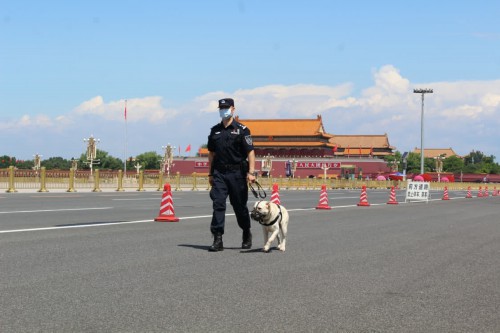 北京:一批"最美警察 " 当选"抗疫之星"