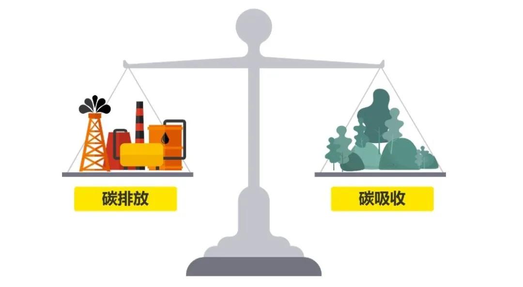 《一本书读懂碳中和》|关于碳中和,你想知道的都在这里