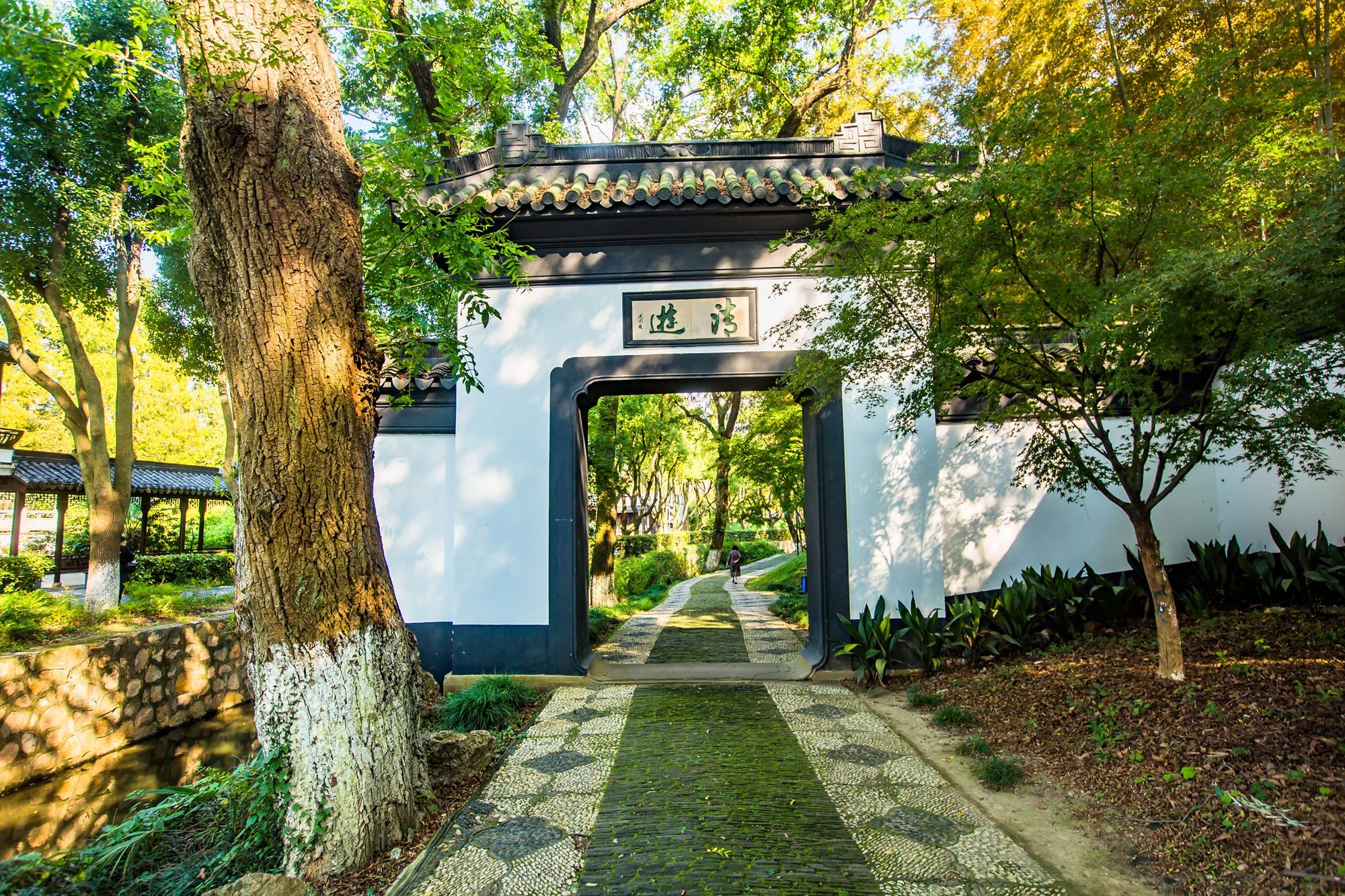 江苏昆山有一座亭林园,曲水环抱,奇峰林立,名胜古迹遍布园中