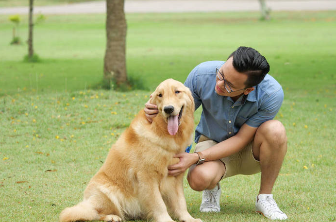 回顧:名貴犬咬人被打死,狗主人耍橫要4萬賠償,法院:支持索賠