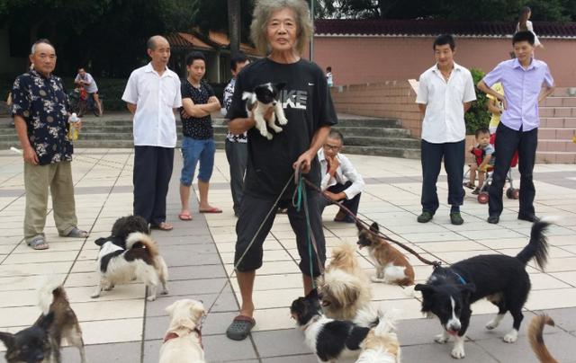 香港鄭六三:繼承千萬遺產,幾年便揮霍一空,今與狗為伴街頭流浪