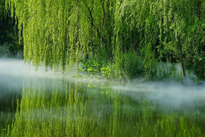 欧阳修词里的春天,杨柳堆烟,飞絮濛濛,如此凄美