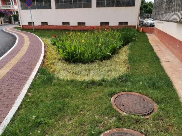 iyic科普|海绵社区:住在一个会"喝水"的社区