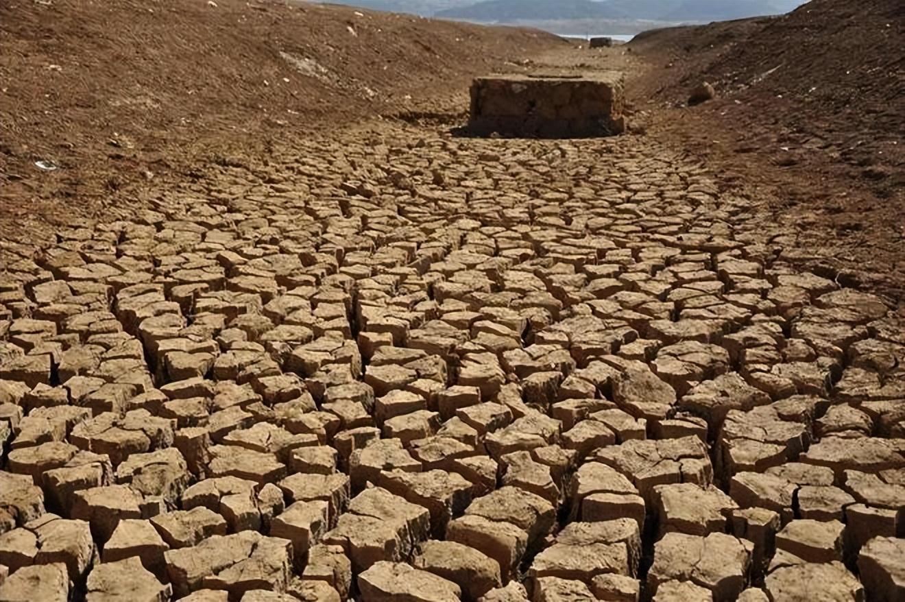 杨贵深入林县考察