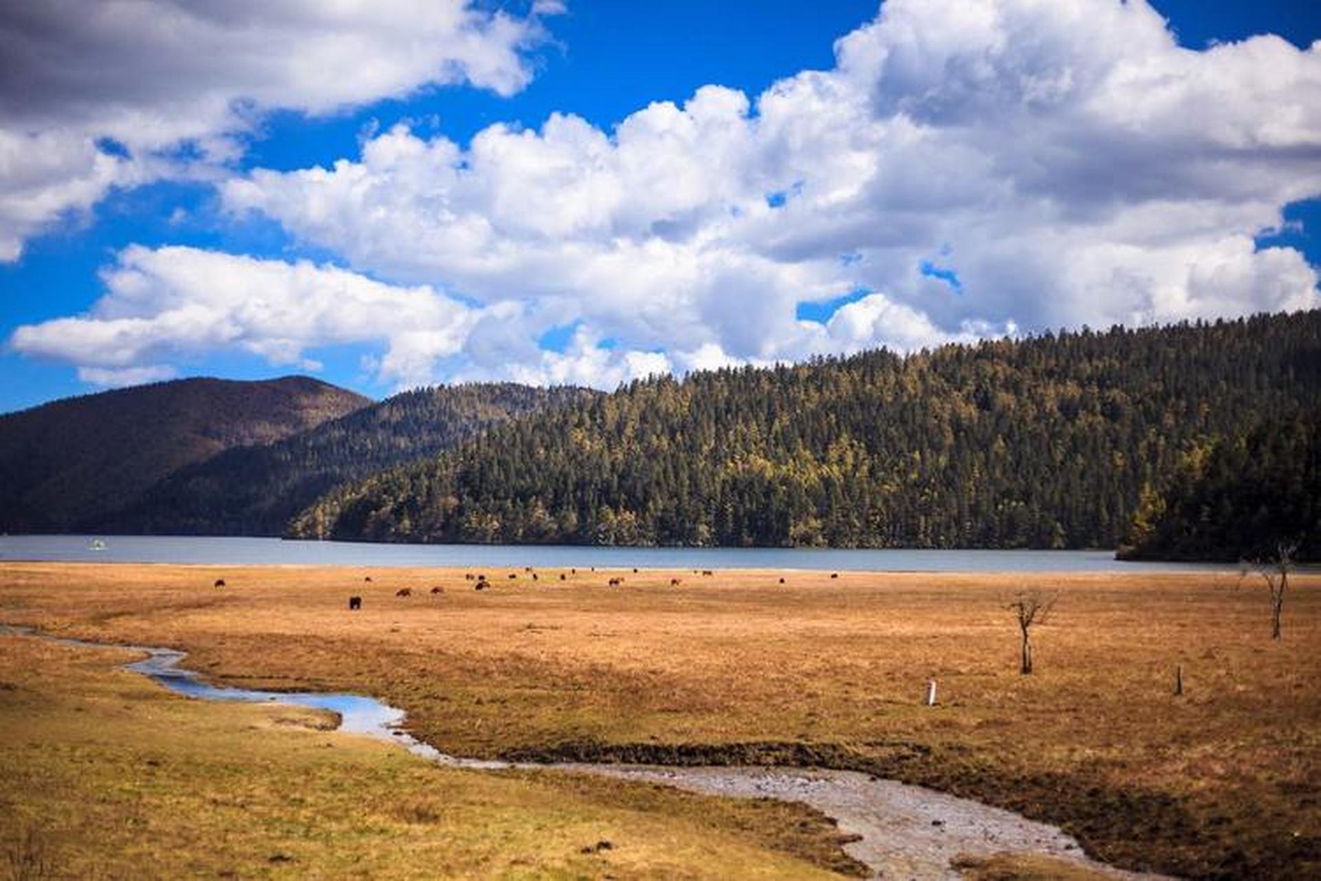 探索云南普达措国家公园:一片人间仙境  普达措国家公园,位于云南省