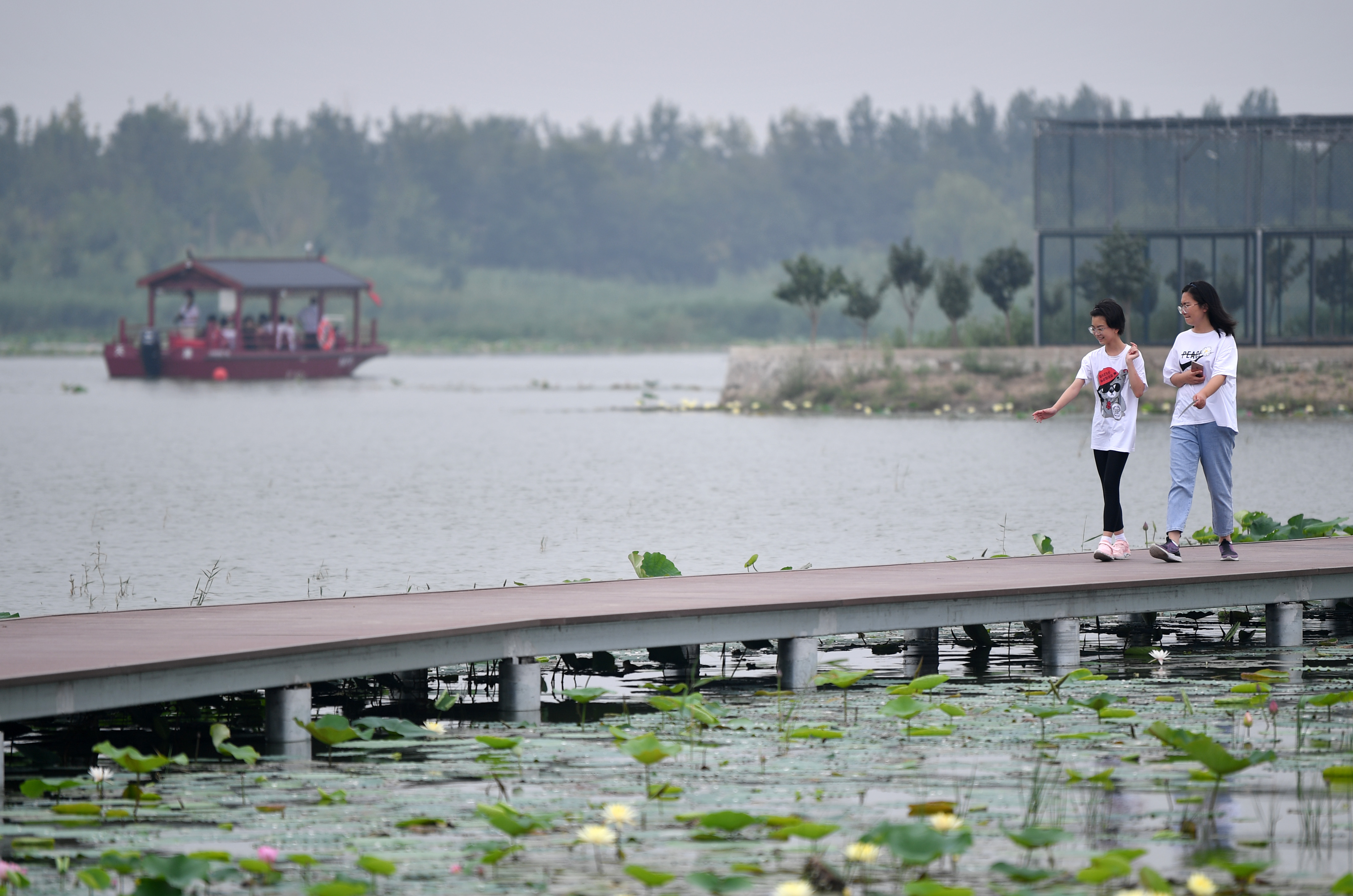 天津:曙光水镇展现美丽乡村(4)