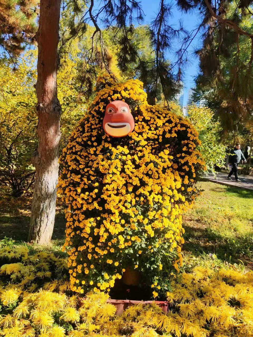 沈阳市和平区第九届中山公园菊花展开始了  近日,沈阳市和平区中山