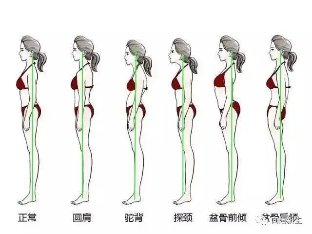 理想的站立体位:瑜伽普拉提身体中立位