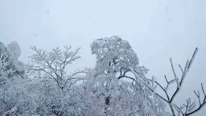 上城步大南山观雪景