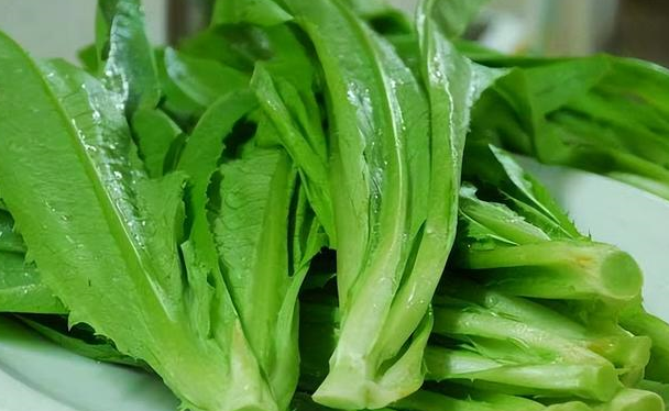 夏季吃苦,胜似进补,多吃这4种苦味蔬菜,健胃祛湿,轻松度夏