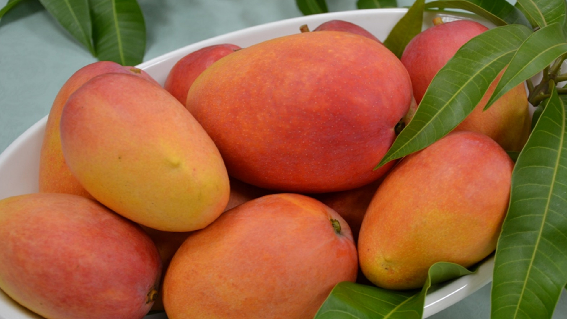 赖清德引火烧身,大陆对台湾芒果说不,危地马拉将与台"断交"