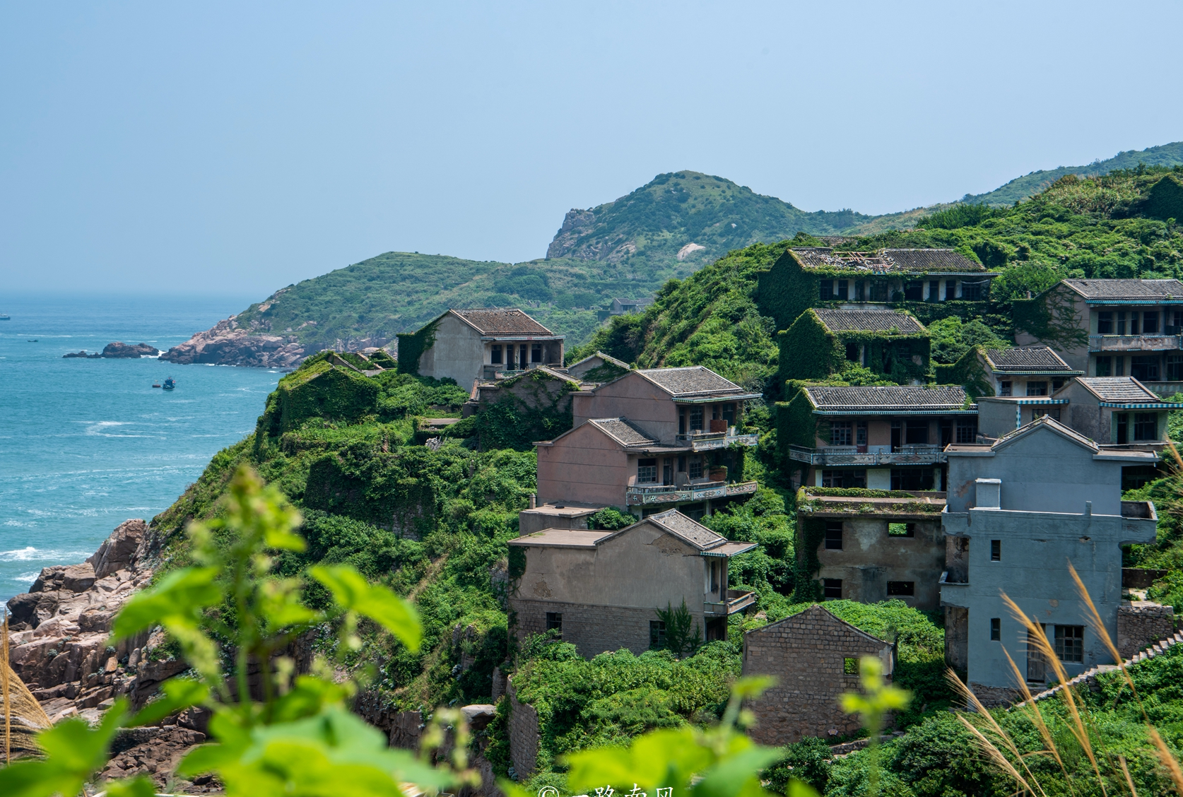 舟山群岛神秘的无人村,人类离开后,变成壮观的奇幻世界
