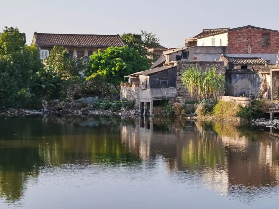 沈逸舟/仙塘清韵