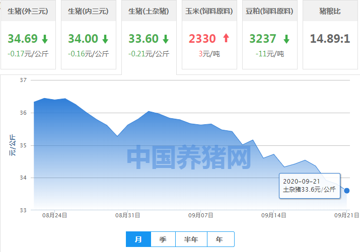 9月21日豬價:10漲,16跌,5平!上漲有戲?