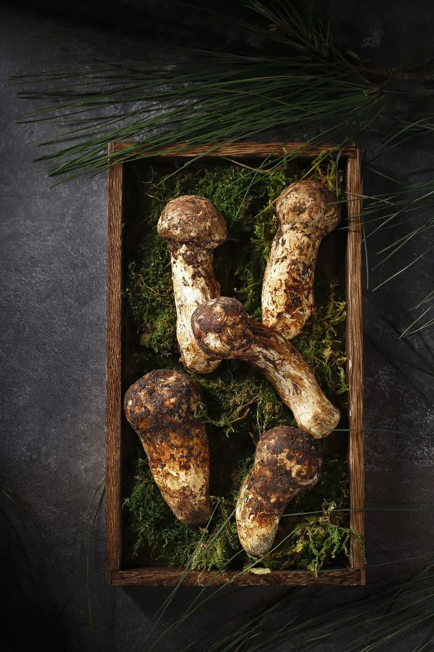 5小时 路线:昆明→京昆高速→禄劝 盛产菌类:松茸 造就了当地极为丰富