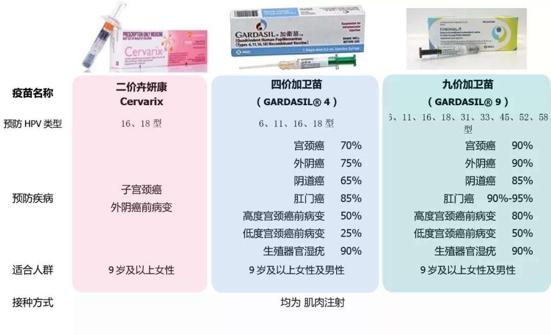 宮頸癌這麼可怕為什麼日本叫停女性接種hpv疫苗原因在這