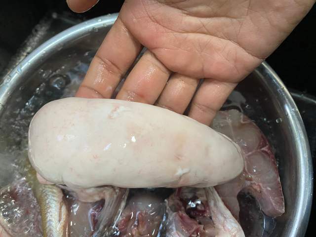鱿鱼精巢图片
