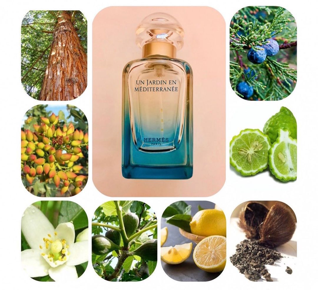 春夏香水推荐——爱马仕地中海花园香水
