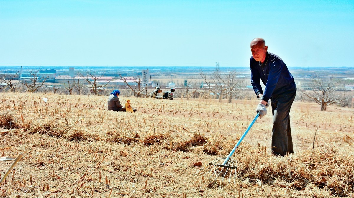 城乡差距慢慢缩小,农民工很愿意回家种地,你愿意吗