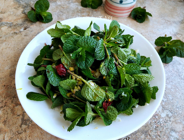 薄荷的亲戚十香菜 口感相似功效不同