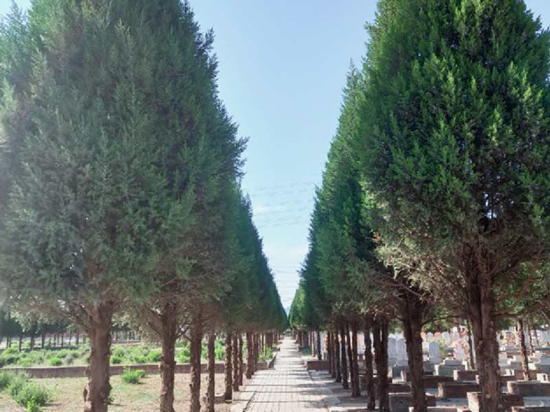 北京房山望山祖园公墓地址价格表介绍!