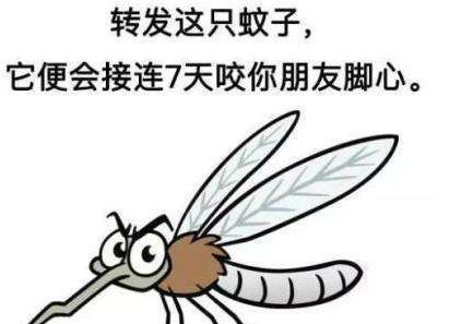 九成人不懂蚊子怕什么"东西"?教你一个秘诀,蚊子"消失"了