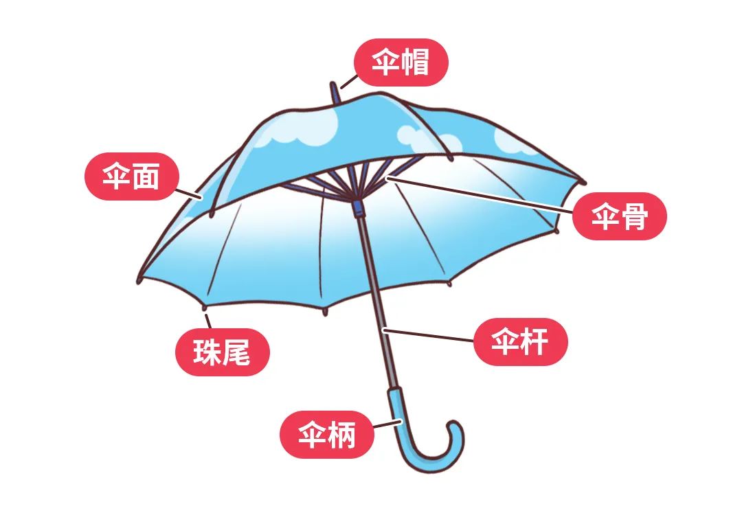 雨伞的分解图图片